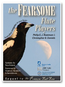 Click here for information about the book: The Fearsome Flute Players