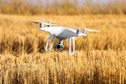 Aerial drone flying over wheat field