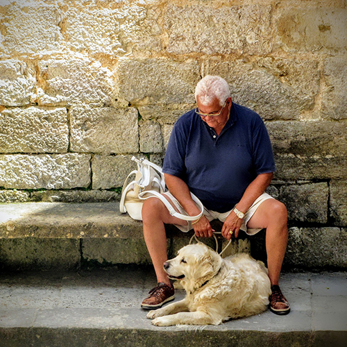 pets and older people_500x500p.jpg