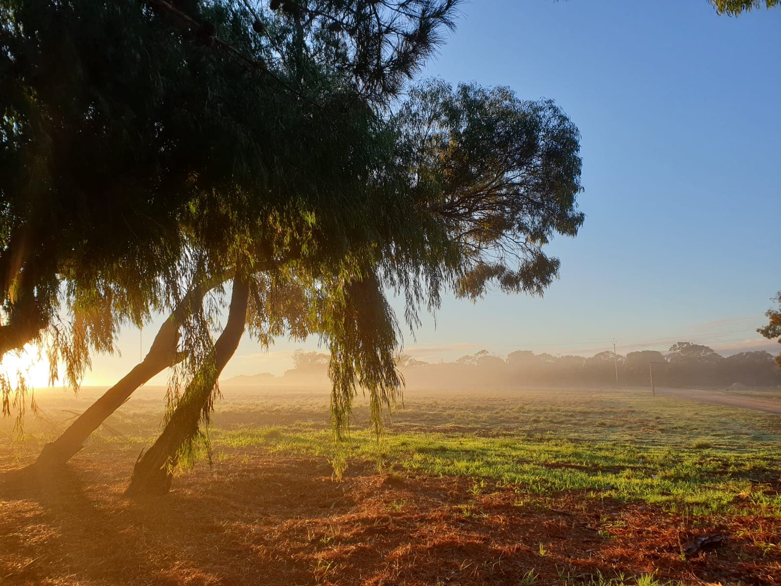 First Place - Mary Pearl Escrin