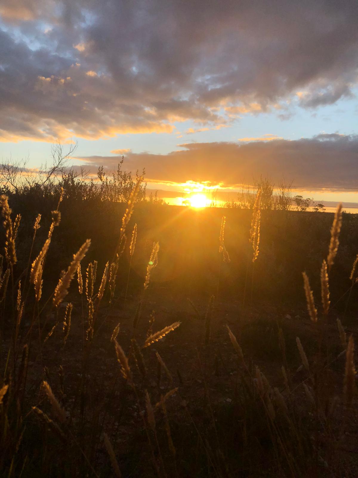 Third Place - Brooke Coleman-Oakes