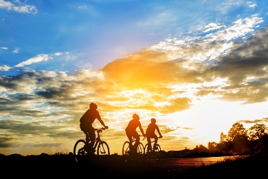 Cyclists on the road at sunset