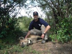 Dr Flies with Hendrix the hyena, which is anesthetized in this pic but was released back into the wild shortly afterwards