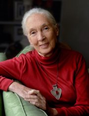 Dame Jane Goodall.
