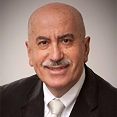 Professor Salih Tamer Cavusgil (USA)