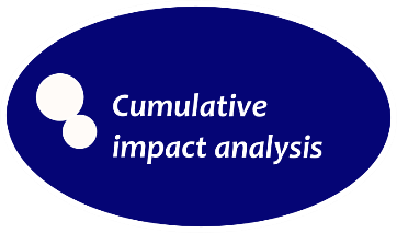 Cumulative impact analysis