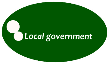 local government