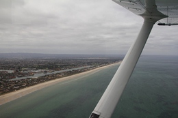 view of Adelaide's coast from the shark patrol aircraft
