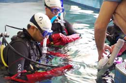 Students preparing for a space training underwater.