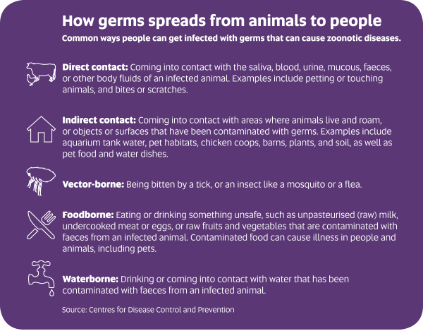 How germs spread infograph