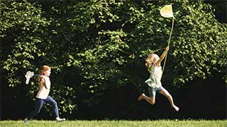 children flying a kite thumbnail