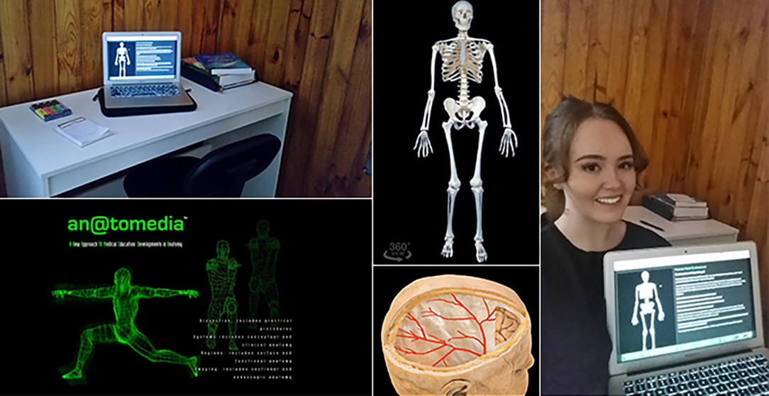 Anatomy Images – An@tomedia 2020, An@tomedia, image, anatomedia.com, viewed 7 May 2020