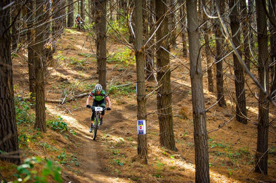 Rider on mountain bike trail