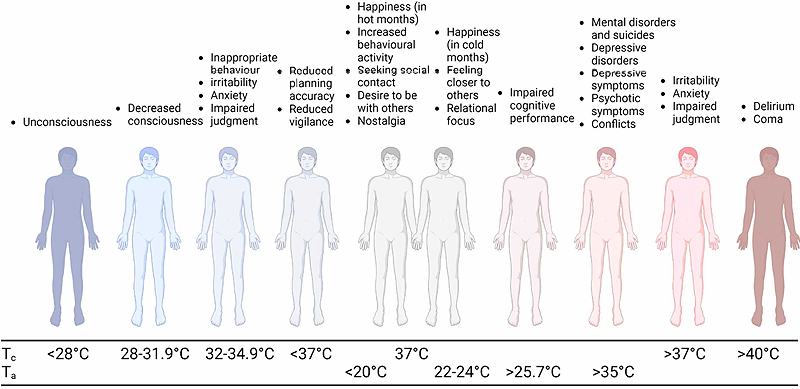 Illustrated summary of the identified psychological effects of ambient/body temperature. Ta refers to ambient temperature and Tc refers to body core body temperature. Figure created with biorender.com.