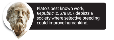 Did You Know fact: Plato’s best known work, Republic (c. 378 BC), depicts a society where selective breeding could improve humankind.