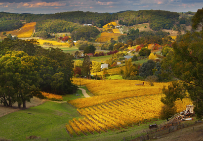 Picadilly Valley: photo by Dragan Radojciz