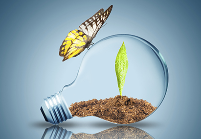 Butterfly on globe with seedling inside