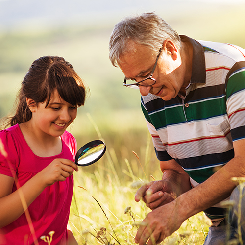grandparent looking at nature with child