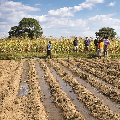 Irrigation in a newly cultivated field in Zimbabwe. Photo credit: André F. van Rooyen.  