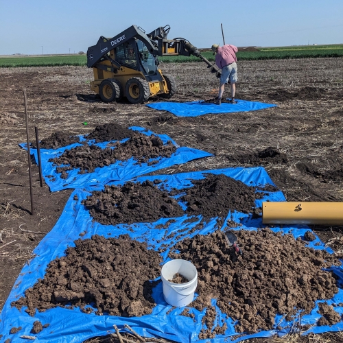 Man working in field