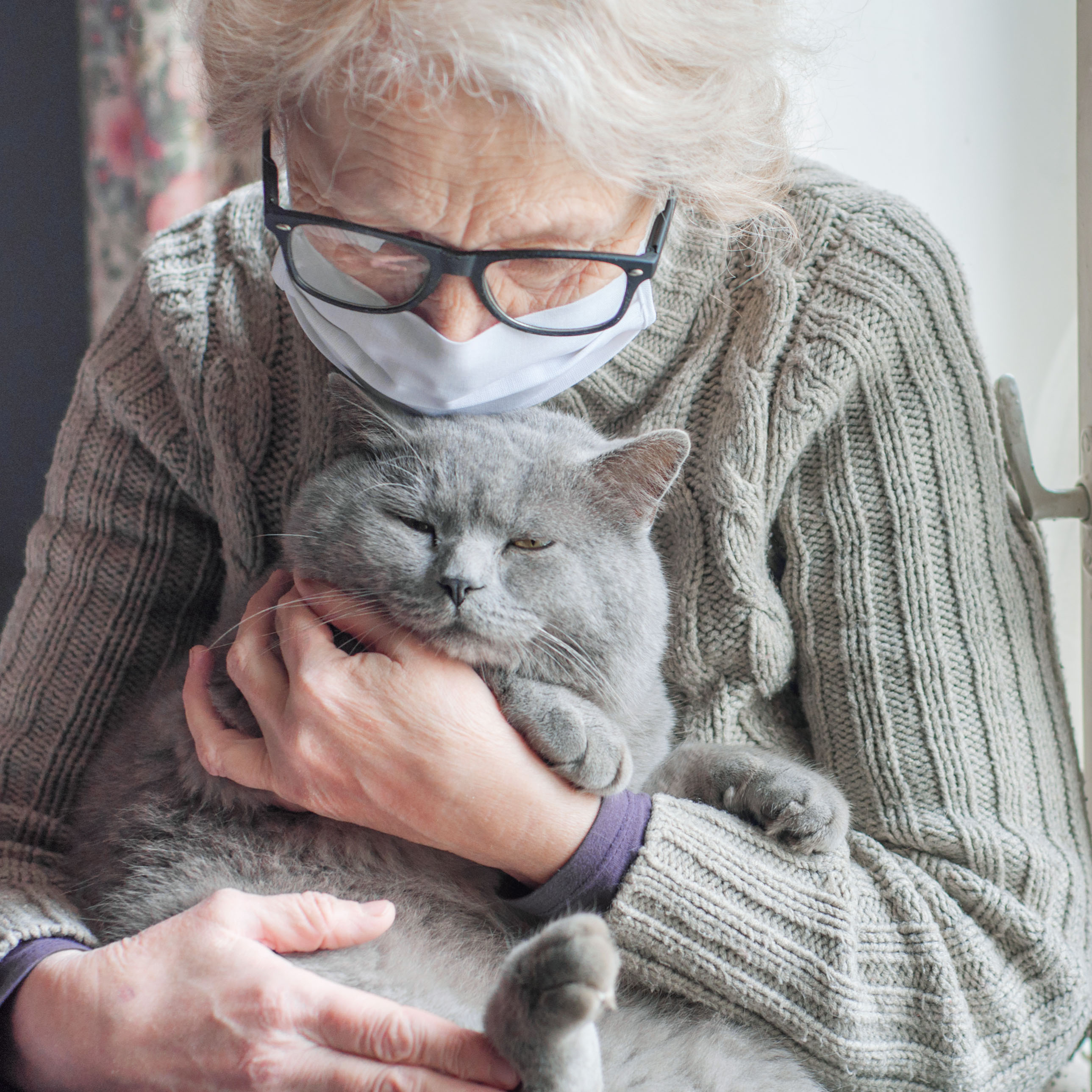 Pets create 'pawsitive' change for people in aged care - News and events -  University of South Australia