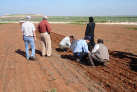 Farmers inspecting soil