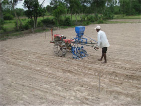 Cambodian farmer preparing land