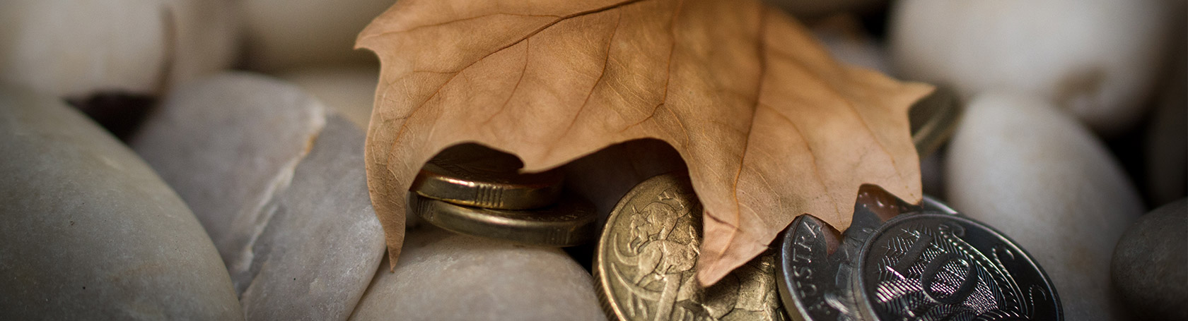 Coins under a leaf