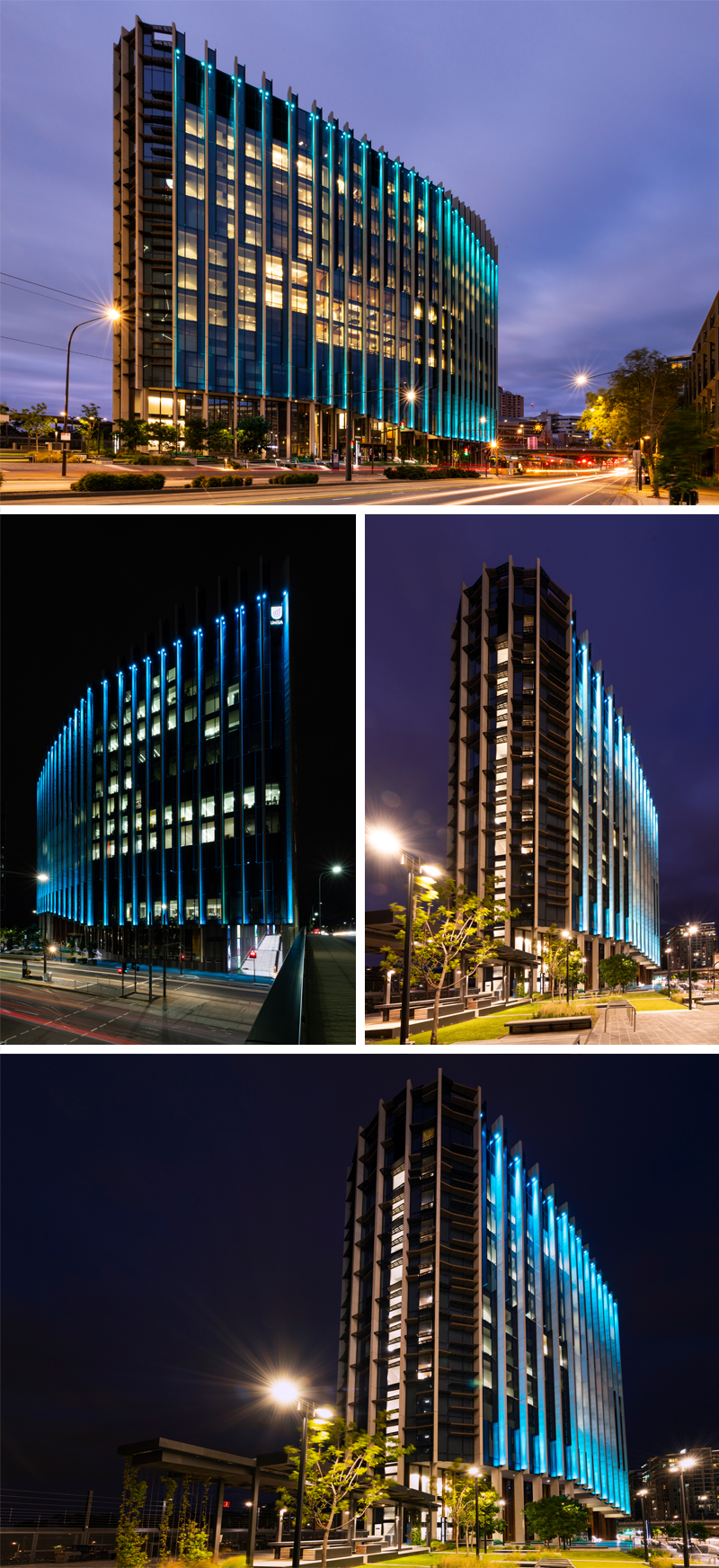 UniSA’s Cancer Research Institute building on North Terrace lit up in teal